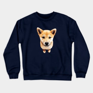 Shiba Inu Puppy Dog Cutest Pup! Crewneck Sweatshirt